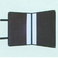 ϸ